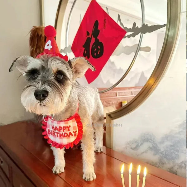 Pet Party Scarf and Hat Set