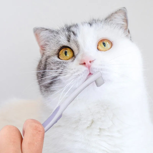 Gentle Cat Toothbrush