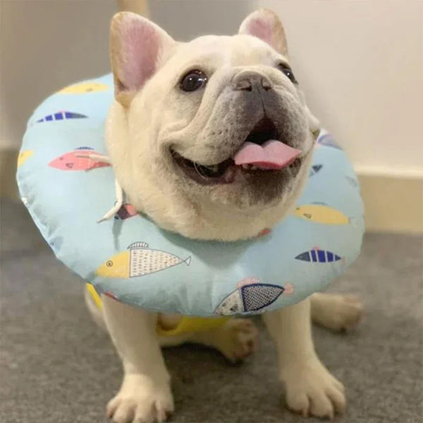 Cozy Pet Healing Cone